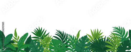 Jungle border. Tropical leaves banner. Exotic leaf. Nature green plants background. Cartoon botanical foliage, summer greenery bushes, floral tropic palm elements. Vector illustration