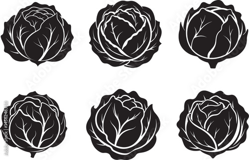 set of cabbage vegetable silhouette, black and white silhouette, vector and illustration