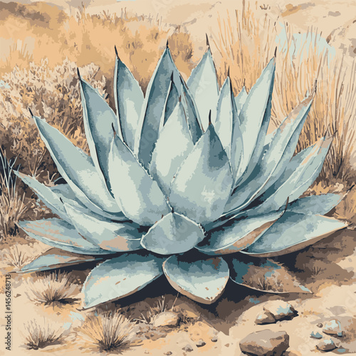 This image is a realistic watercolor illustration of an agave plant growing in a dry desert landscape among rocks and dry grass.