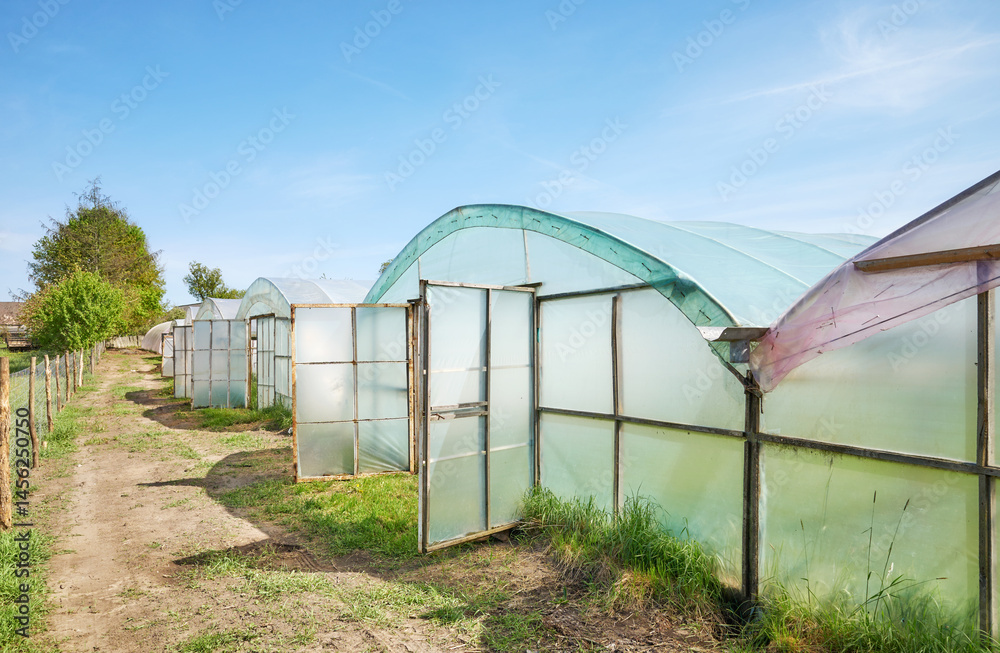 Polytunnels on an organic farm against the blue sky.