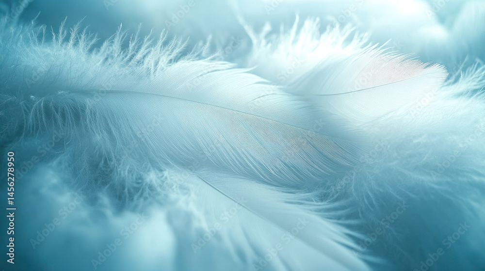 Delicate, light blue feathers close-up. Soft, textured, and airy Delicate, light blue feathers close-up. Soft, textured, and airy