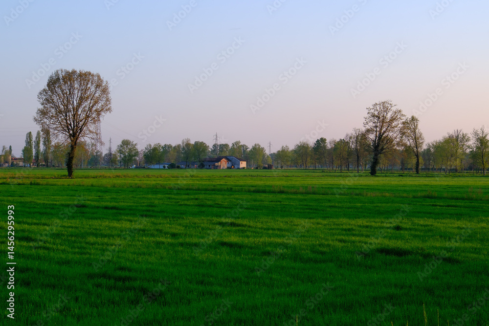 Obraz premium Country landscape along the Canal of Martesana, Milan, Italy, at sunset