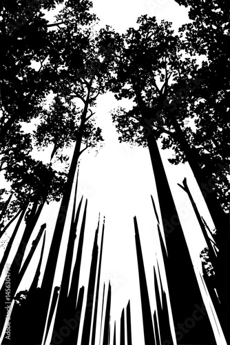 Light Peeking Through Forest Ceiling, coloring book design, vector illustration