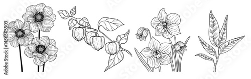 A refined collection of elegant garden flowers drawn in line art style. Perfect for upscale stationery, floral branding, packaging, invitations, and digital projects. Includes rose, narcissus, tulip, 