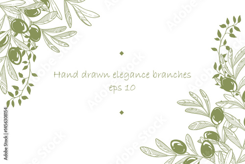 Frame of hand drawn vector olive branches.