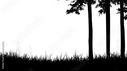 Forest Floor Hidden By Haze, vector graphic