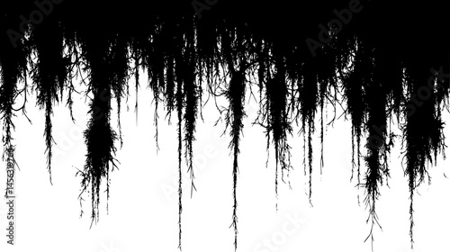 Moss Hanging From Crooked Limbs, vector graphic