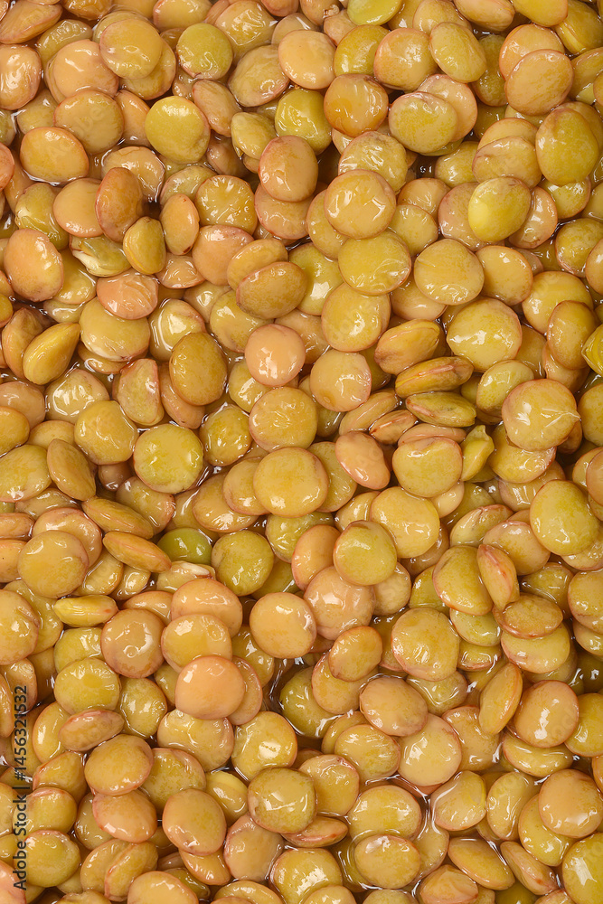 A close-up shows a dense pile of rehydrated raw lentils with a smooth, slightly shiny texture