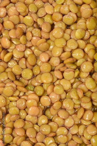 Obraz na płótnie A close-up shows a dense pile of rehydrated raw lentils with a smooth, slightly shiny texture w salonie