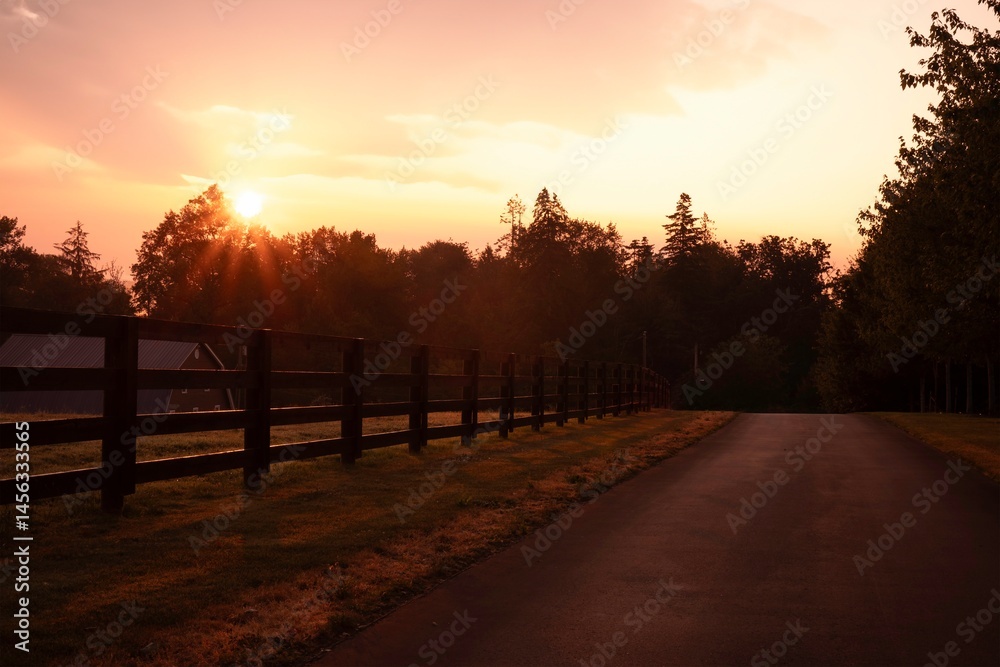 Obraz premium sunset in the park