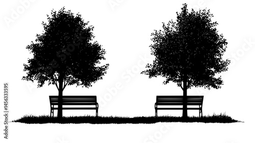 Open Space With Benches And Trees, vector illustration art