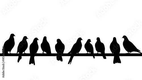 Pigeons Gathering On Ledges, vector illustration art