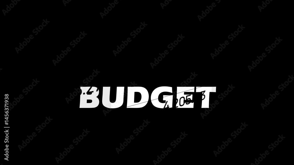 Budget in Focus: A minimalist image that emphasizes the word 