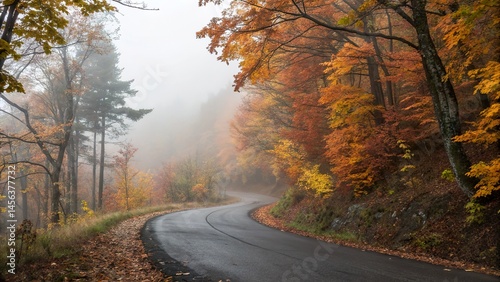 Lonely road cutting through dense forest during autumn with fog in background.