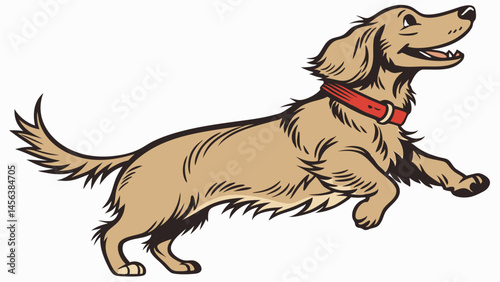 Vector joyful long haired dachshund leaps playfully, showcasing its energetic spirit and cheerful demeanor