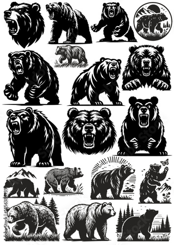Set of grizzly bear illustration wild animal