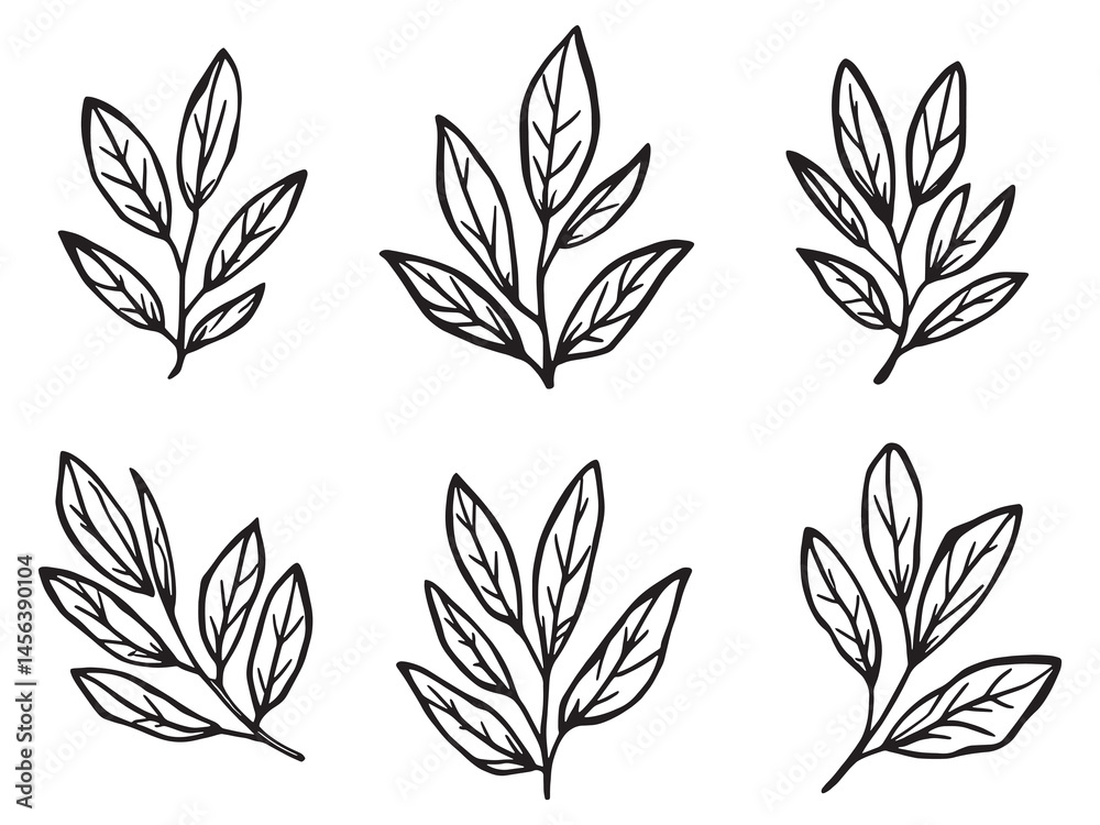 Fototapeta premium stylized olive leaf line drawing vector for nature design