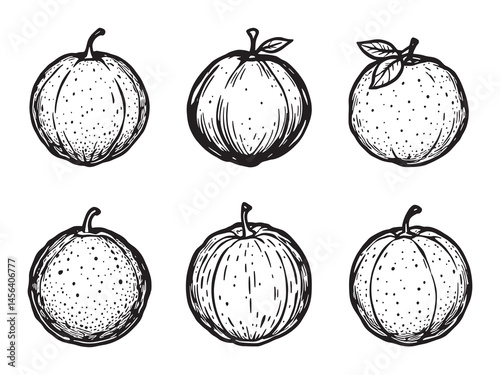 Tangerine line art icon simple fresh summer fruit design