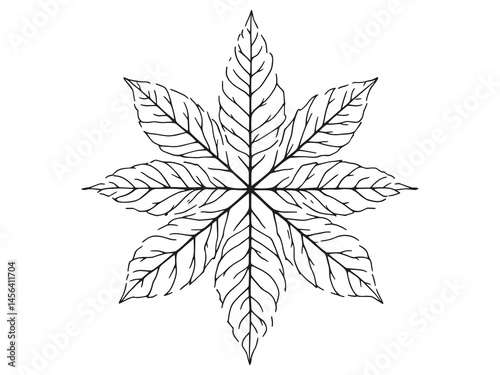 Tansy Leaf Botanical Line Art Vector Illustration