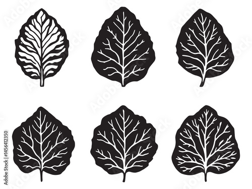 Taro leaf line art design for nature themed graphics
