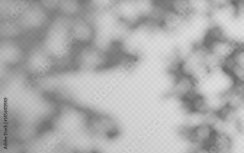 Abstract shadow overlay from foliage on a transparent background.