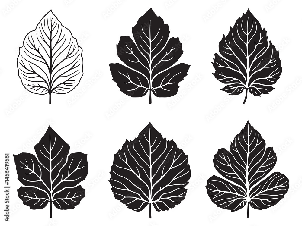 Fototapeta premium Tithonia leaf contour drawing in botanical line artwork
