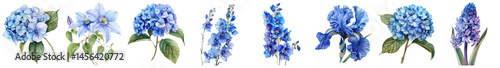 Beautiful collection of different blue flowers including hydrangea, larkspur, and iris arranged elegantly on a Transparent Background