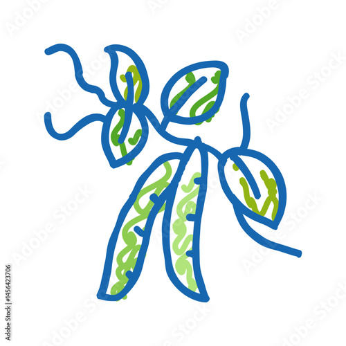peas plant leaf icon doodle illustration