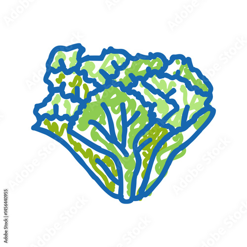 escarole salad food icon doodle illustration