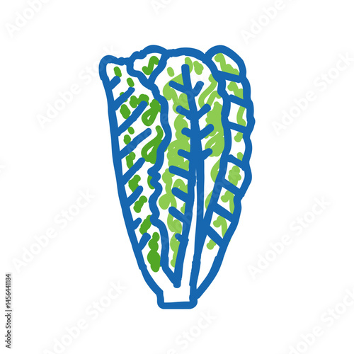 romaine salad food icon doodle illustration