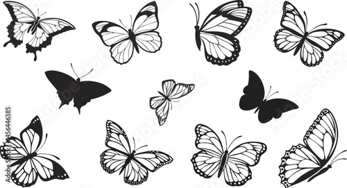 butterfly stylish vector art set