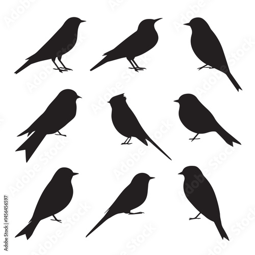 Wallpaper Mural Vector silhouette set of bird on white background Torontodigital.ca