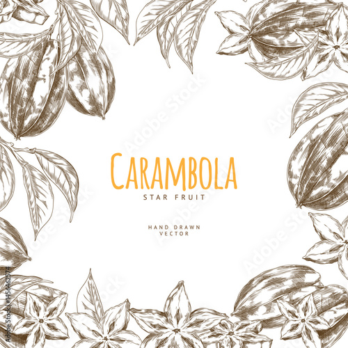 Vector frame carambola fruit in the form of a star on a white background