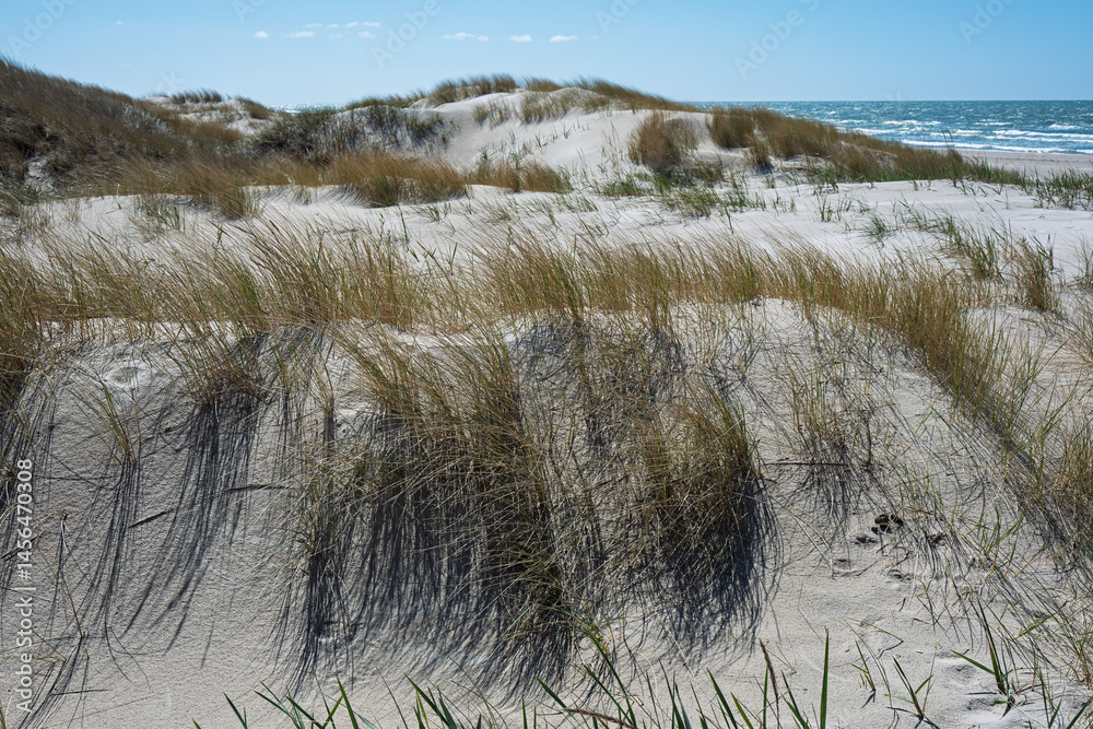 Sunny spring day by Baltic sea, Liepaja surroundings, Latvia.