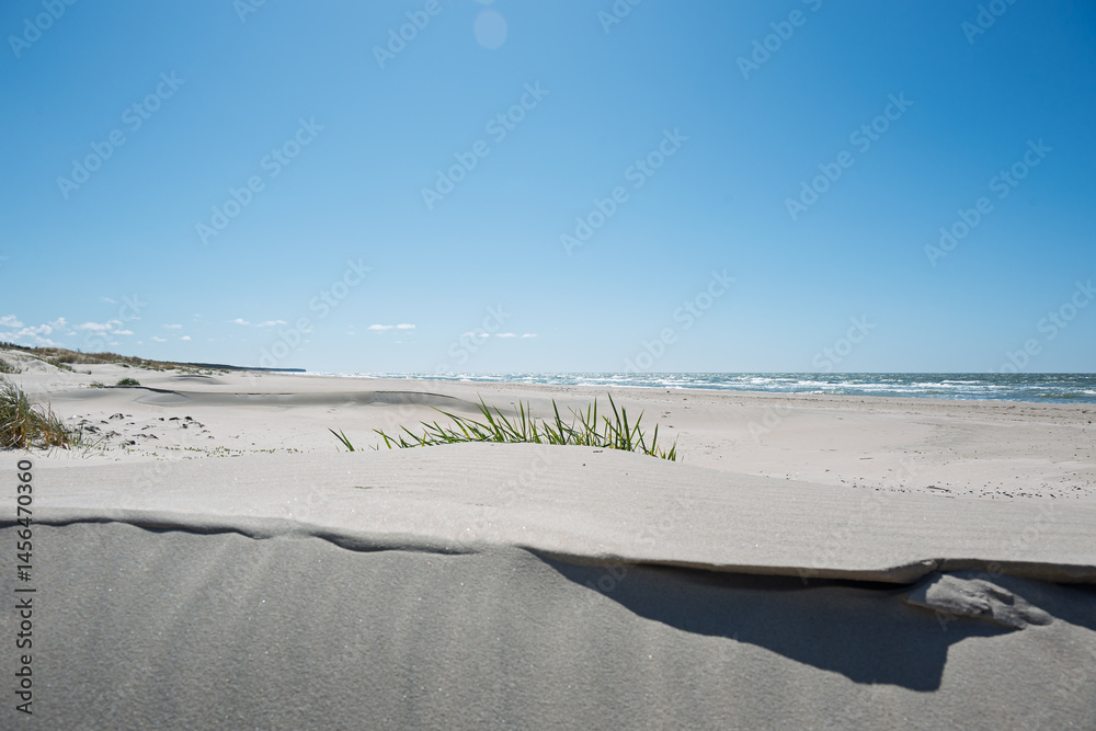 Sunny spring day by Baltic sea, Liepaja surroundings, Latvia.