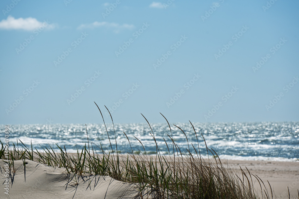 Sunny spring day by Baltic sea, Liepaja surroundings, Latvia.