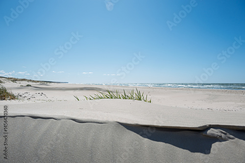 Obraz na płótnie Sunny spring day by Baltic sea, Liepaja surroundings, Latvia. w salonie