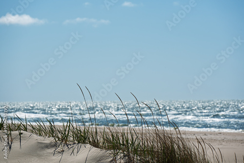 Obraz na płótnie Sunny spring day by Baltic sea, Liepaja surroundings, Latvia. w salonie