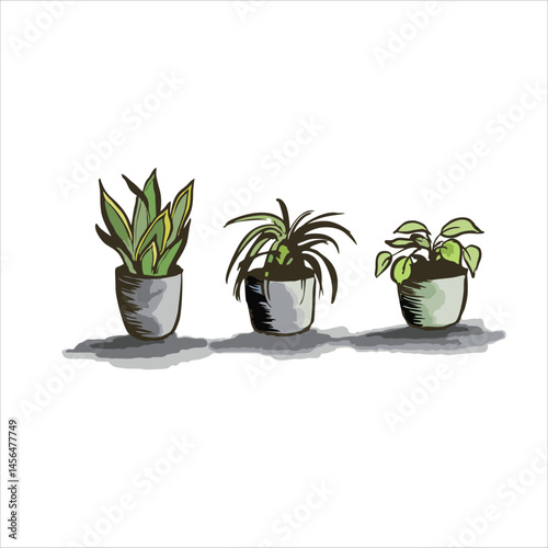 Cute Indoor Plants in Small Pots – Flat Style Vector Illustration. Good for poster, greeting card, or cover book
