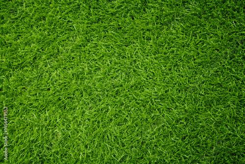 Wallpaper Mural green grass texture, Realistic green grass, Synthetic grass, green grass background, grass background  Torontodigital.ca