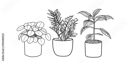 icons set of ornamental plants and flowers, ornamental plant illustrations. hand drawn ornamental plants.