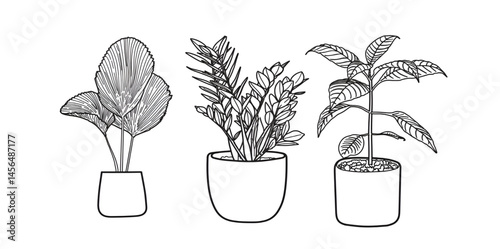 set of ornamental plant icons, ornamental plant illustrations. hand drawn ornamental plants, wedding decorations, special day greeting cards for plants.