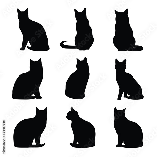 Vector silhouette set of cat on white background 