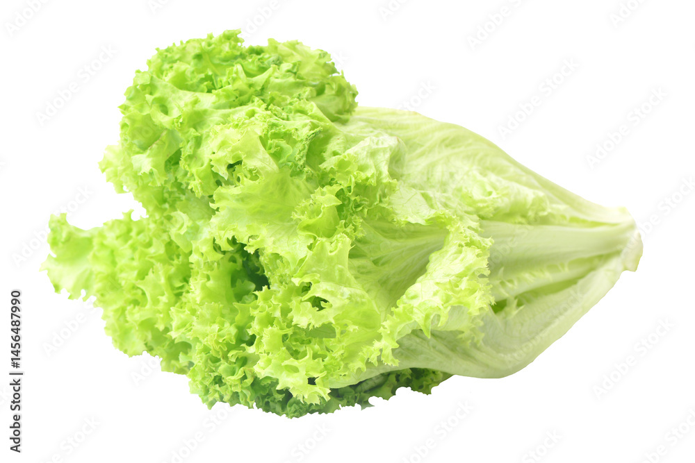 Lettuce isolated on white background