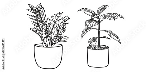 beautiful plant line art set in pots-houseplant icon set, garden plant illustrations.