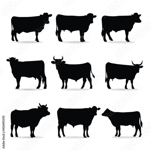 Vector silhouette set of cattle on white background