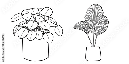 : set of ornamental plant icons, ornamental plant illustrations. hand drawn ornamental plants, wedding decorations, special day greeting cards for plants.
