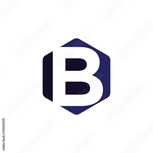Letter B Professional logo for all kinds of business