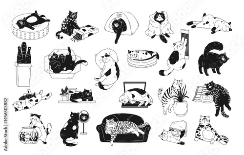 Funny set of cute cat life. Pet kitten home life, actions, scenes with scratching post, toys, bed, box, pillow, bag, food, plant. Linear black and white graphic design for print, card, stickers