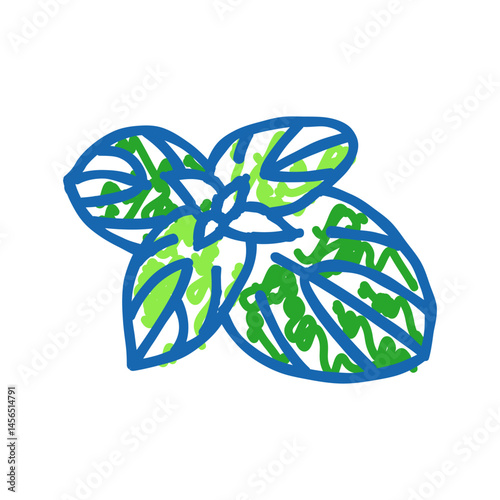 basil food herb icon doodle illustration